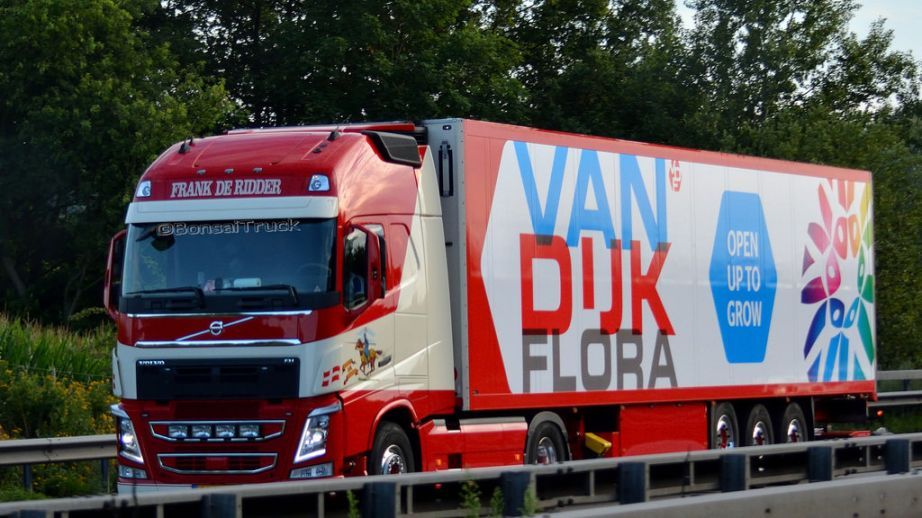 van dijk flora