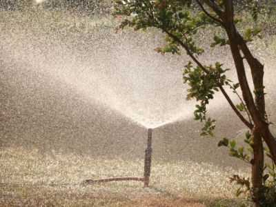W Polsce znaleziono nielegalne środki ochrony roślin