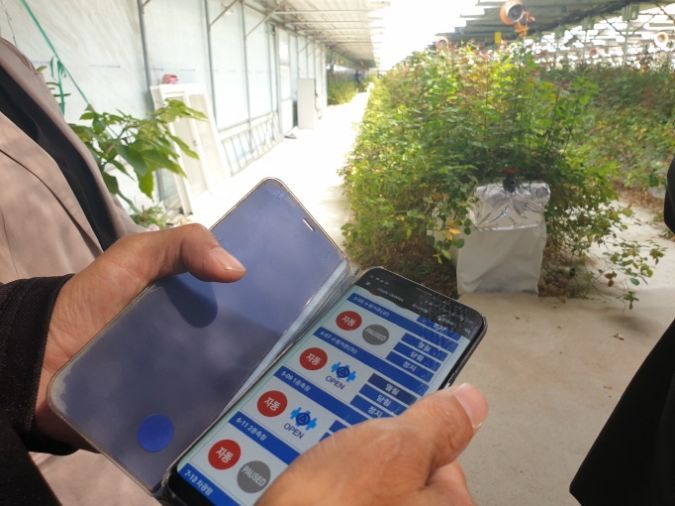 Smartfon
