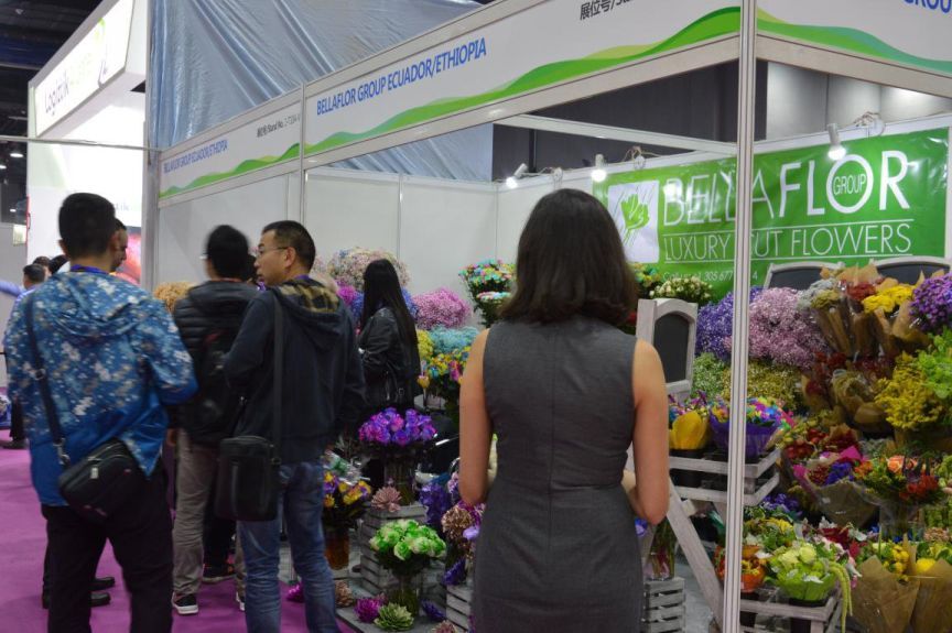 flower expo china