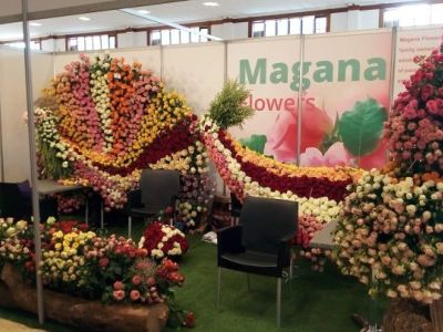 Szereg zmian w Magana Flowers