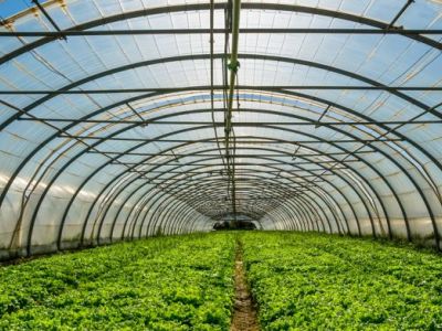 Zachodnie grupy ogrodnicze będą współpracować