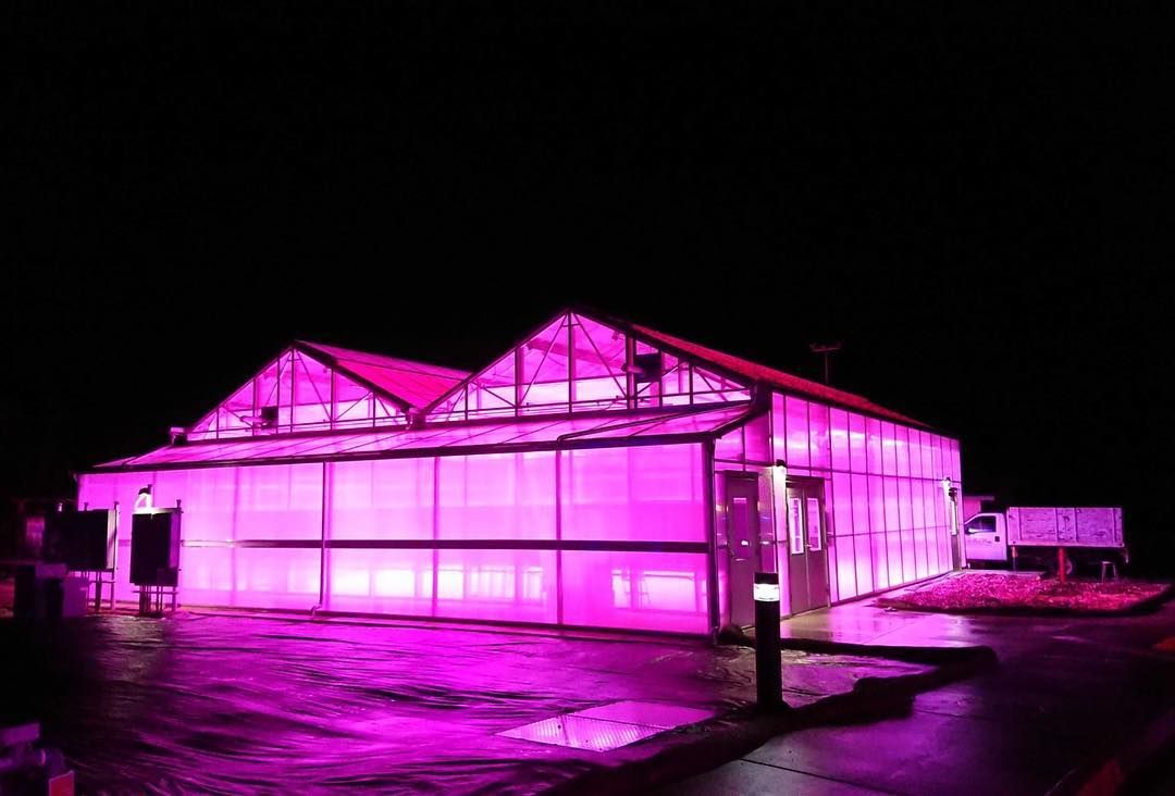 LumiGrow