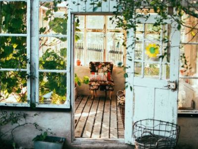 10 popularnych pnączy ogrodowych