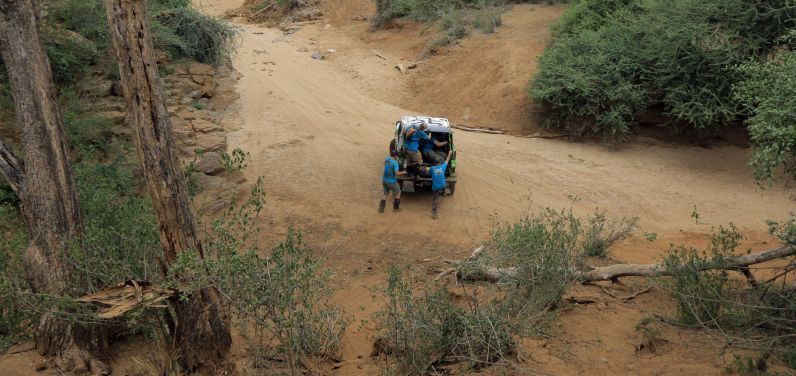 Greenlife Rhino Charge