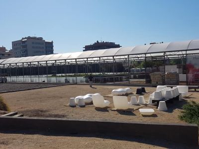 Ponad 350 odmian podczas dni otwartych Plantinova