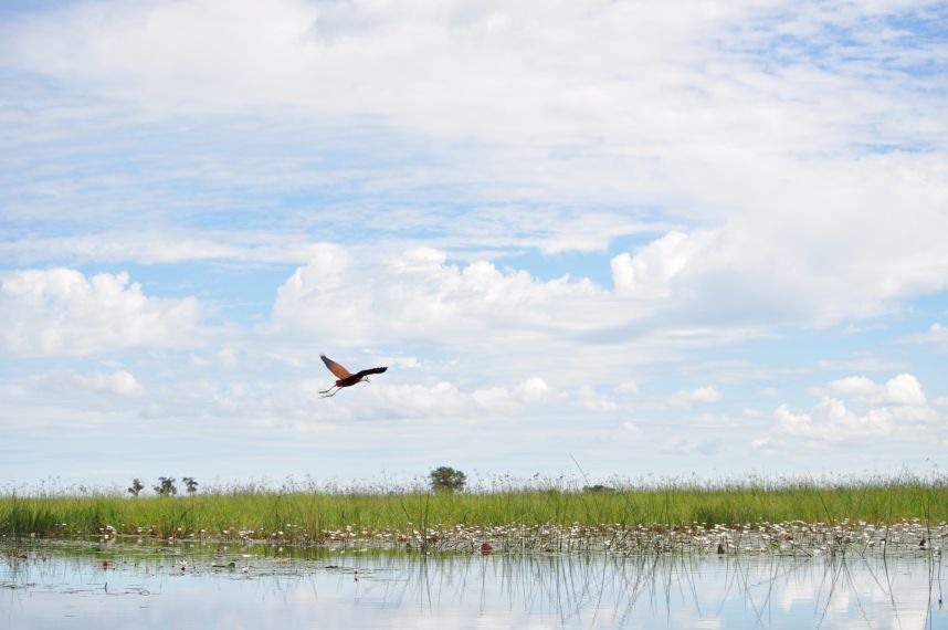 botswana
