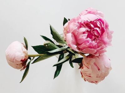 Constance Spry – Prekursorka Florystyki