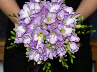 Frezje w kwiatowych bukietach