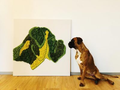 Obraz z mchu – 20 efektownych inspiracji!