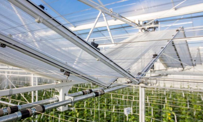 greenhouse