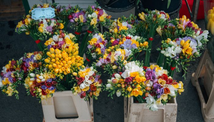 Jakie kwiaty wybrać na dzień kobiet