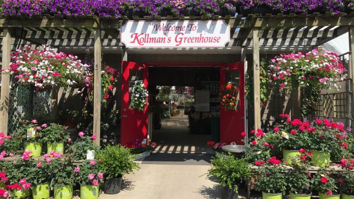 kollmans greenhouse