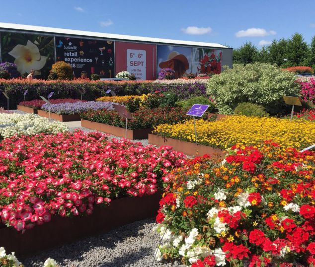 Flower Trials