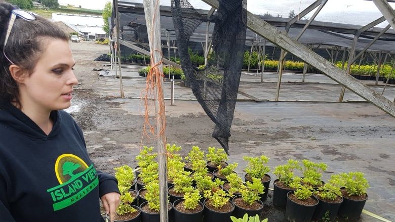 Island View Nursery