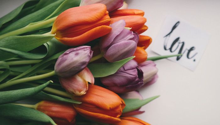 Jak przygotować kwiaciarnię na Dzień Kobiet?