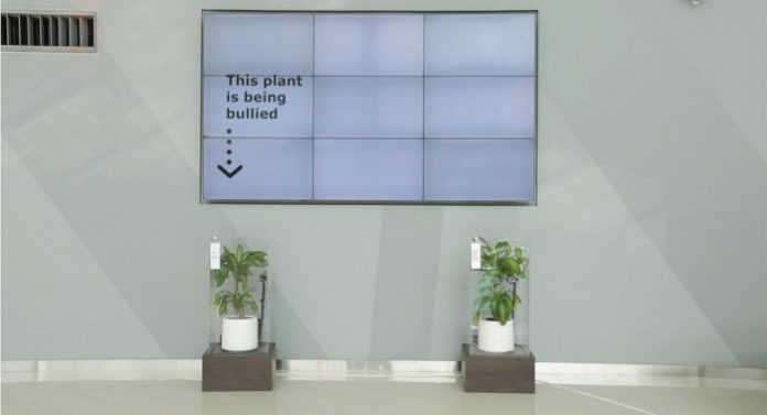 Niezwykły eksperyment IKEA - działanie słów na zdrowie i wygląd roślin